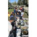 第八次Calgary 聚會 BBQ + Potluck(相簿) 第八次Calgary 聚會 BBQ + Potluck(相簿)