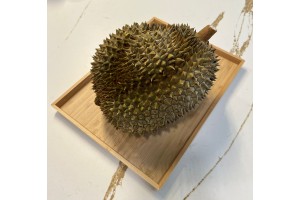 越南榴槤 - 金枕頭 (已經售罄）